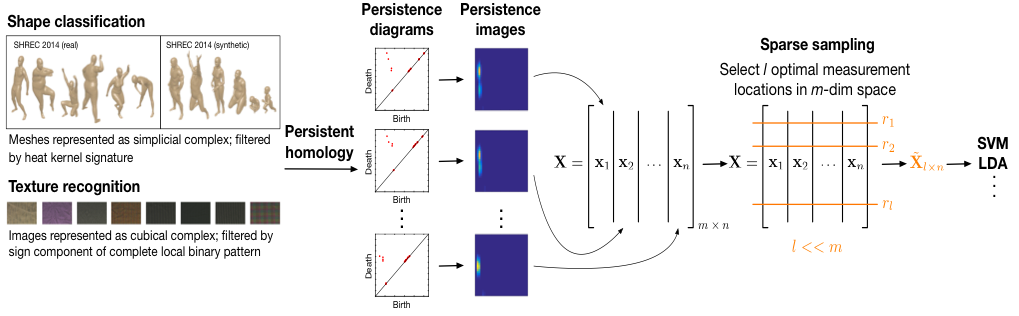 Sparse representation of topological persistence for multi-way classification