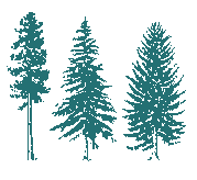 [Trees Image]