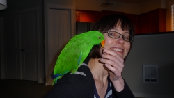 Me and Ic