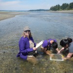 Wet students and prof sampling in water.