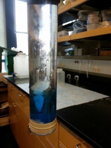 Tube trap in lab.