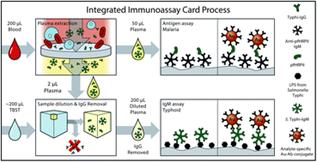 Graphical abstract: Progress toward multiplexed sample-to-result detection in low resource settings using microfluidic immunoassay cards