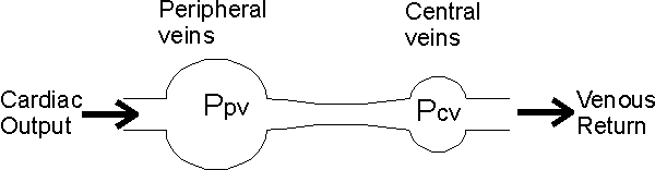 central-venous-catheters-semantic-scholar