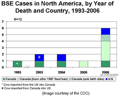   Disease on Neuroscience For Kids   Mad Cow Disease