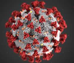 coronavirus