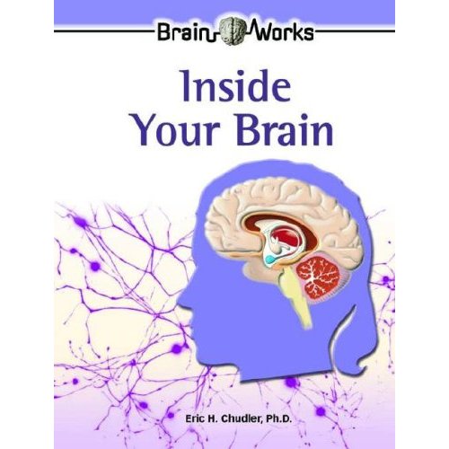 neuroscience  books