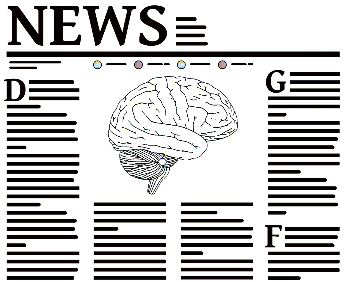 newspaper brain