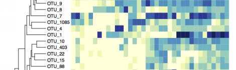 Metagenomics