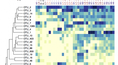 Metagenomics