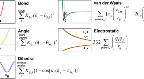 Molecular simulation & analysis