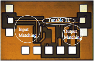 Description: Tunable_LNA_die_label.emf