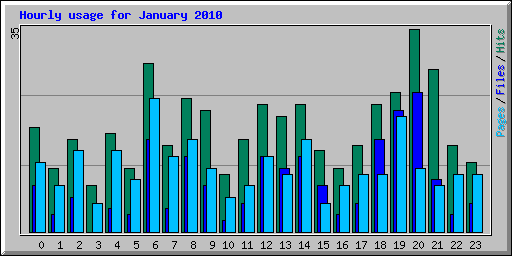 Hourly usage for January 2010