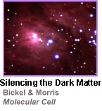 Dark Matter