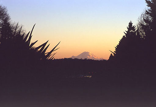 Mt Rainier