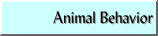 Animal Behavior