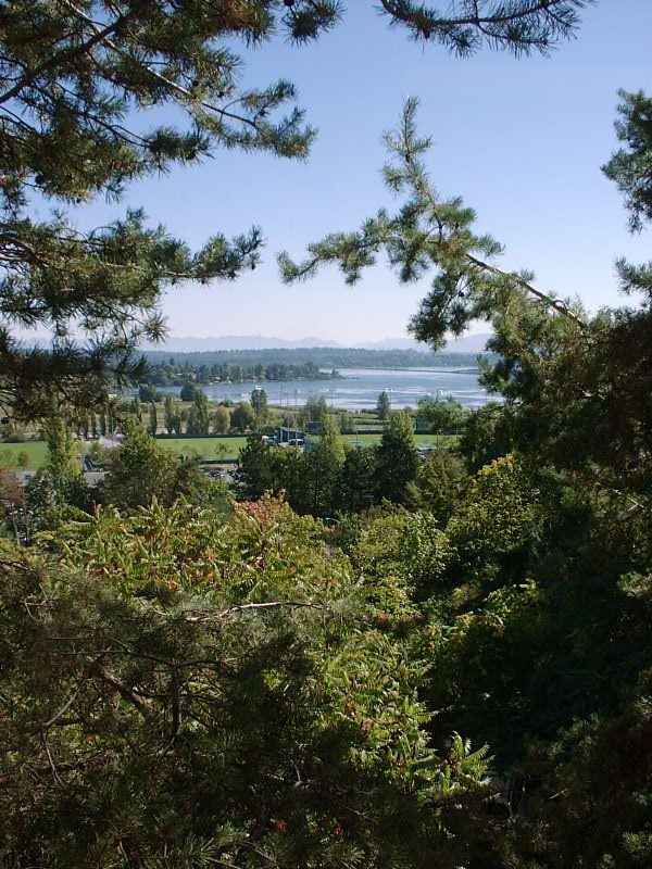[Lake Washington, 520 Bridge, Cascades]