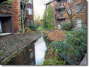 Ravenna Creek