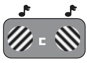 ciaramitaro_jneurophys07.gif
