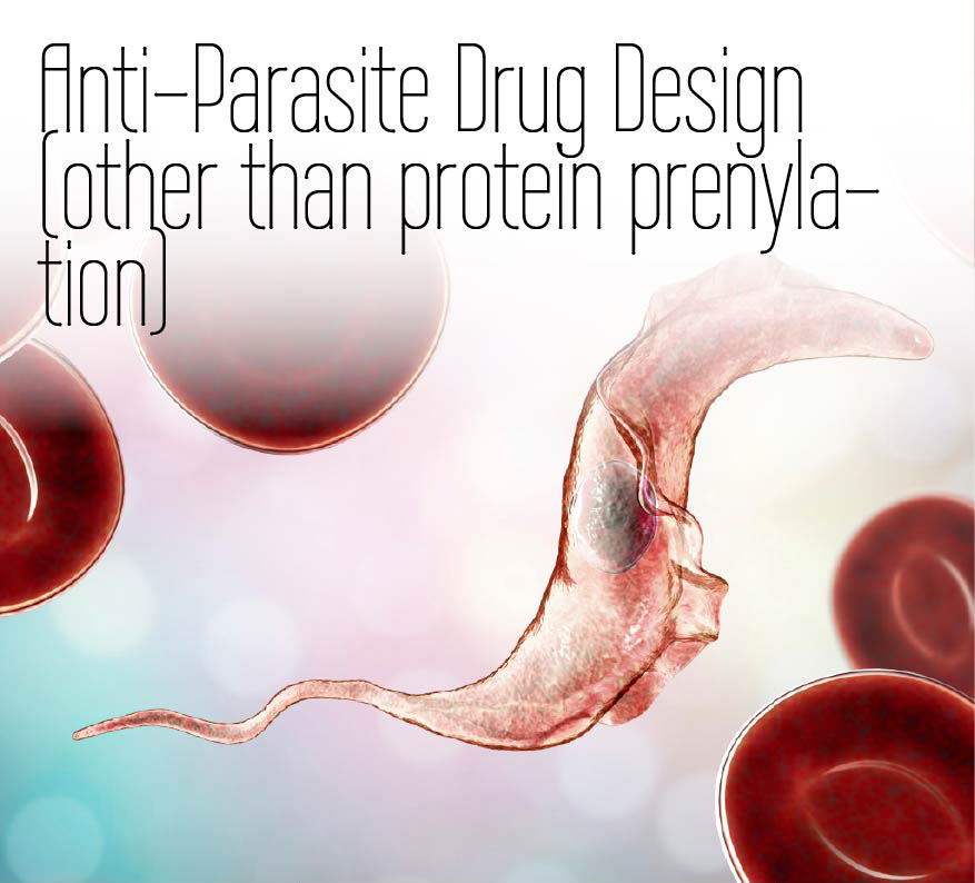 Anti-Parasite Drug Design