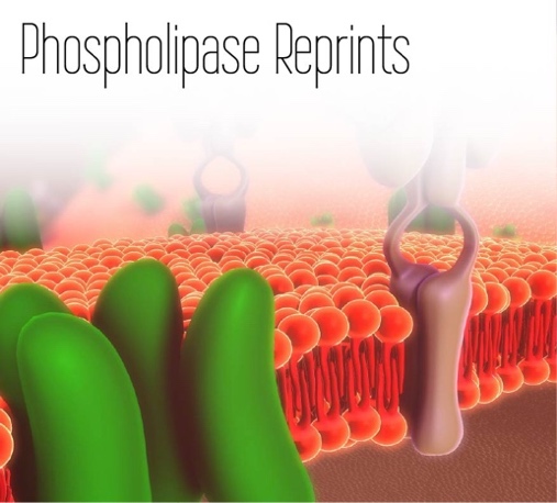 A diagram of a cell structure

Description automatically generated