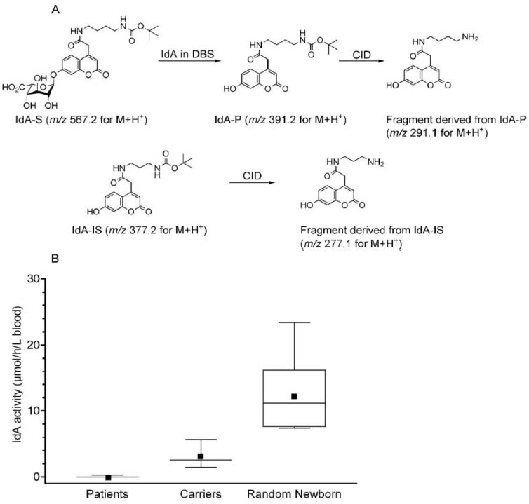 A diagram of a chemical reaction
Description automatically generated with medium confidence
