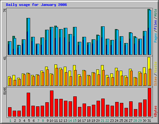 Daily usage for January 2006