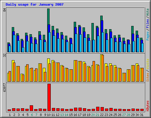Daily usage for January 2007