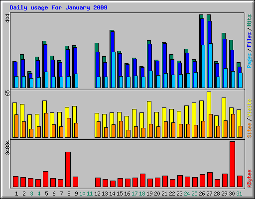 Daily usage for January 2009