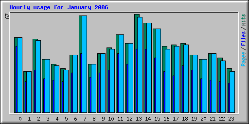 Hourly usage for January 2006