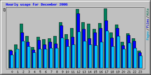 Hourly usage for December 2006
