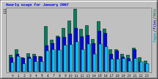 Hourly usage for January 2007