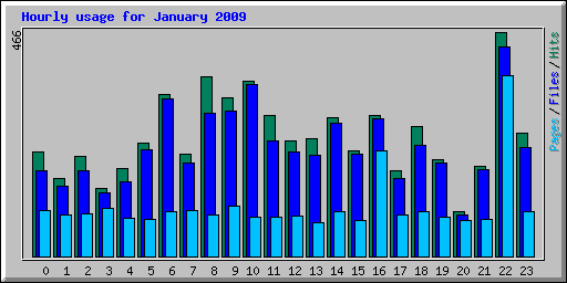 Hourly usage for January 2009