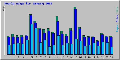 Hourly usage for January 2010