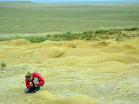 Colorado in the field