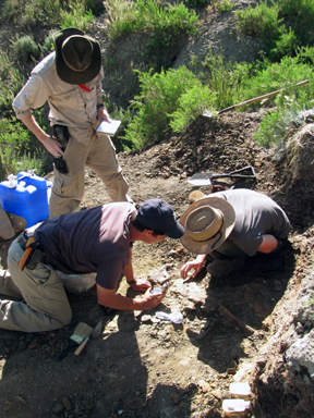 Greg and students examine Triceratops skull bones