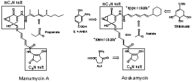 [asukamycin / manumycin structures]