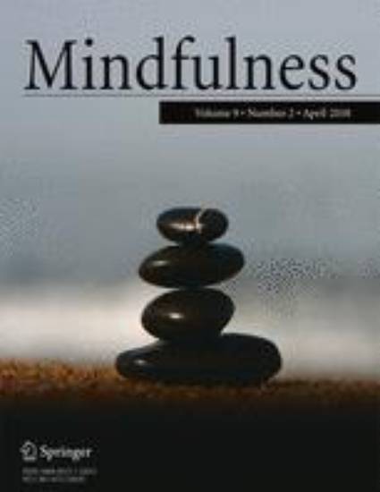 Cover of book titled 'Adverse Meditation Experiences'