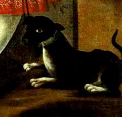 Nicholas Temerin's Dog