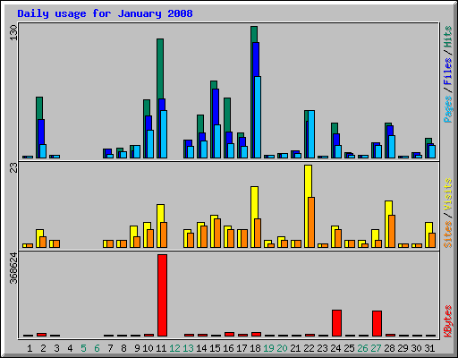 Daily usage for January 2008