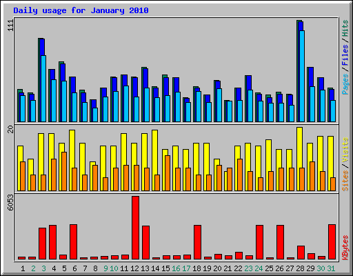 Daily usage for January 2010