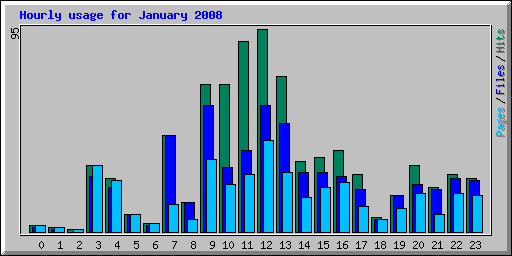 Hourly usage for January 2008