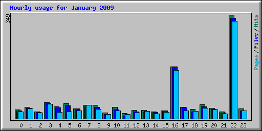 Hourly usage for January 2009