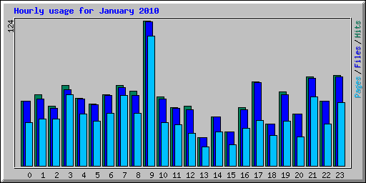 Hourly usage for January 2010