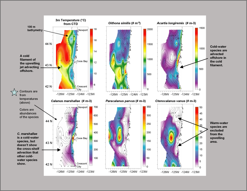 species distributions