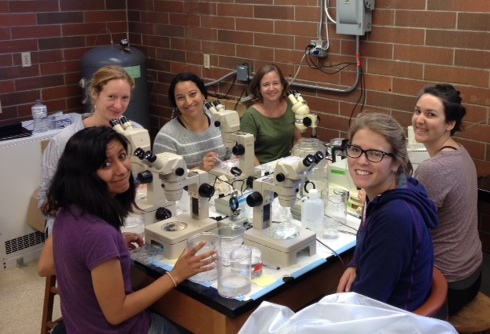 Microscope team!