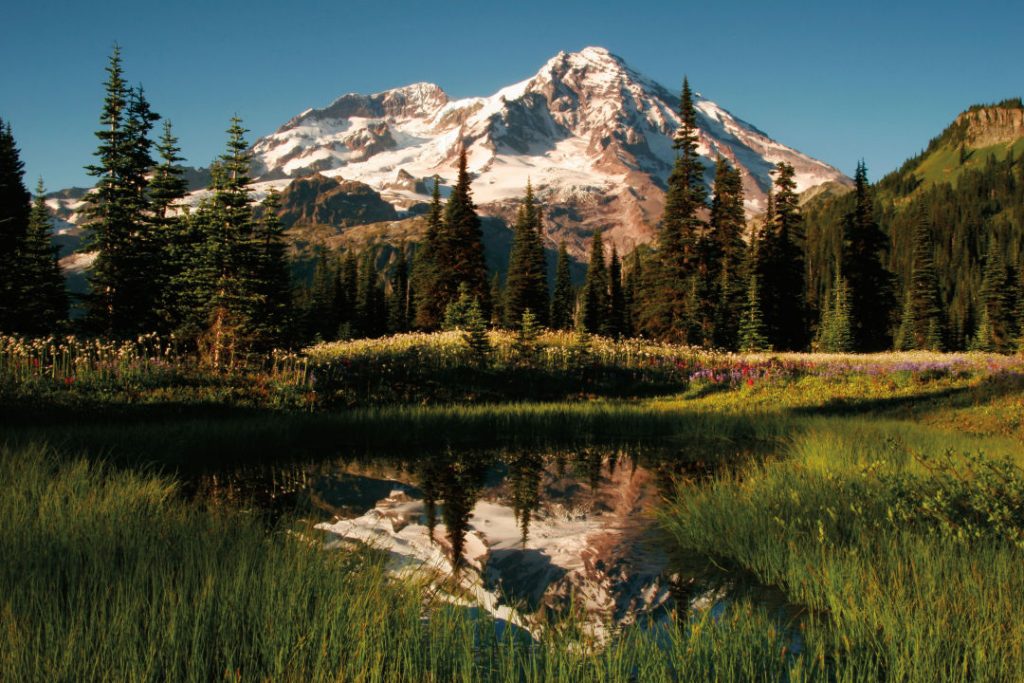Ti'Swaq, also called Mt. Rainier, surrounded by trees and green grass.