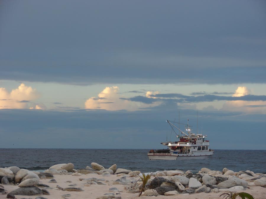 Looking out at the Anchored Shogun