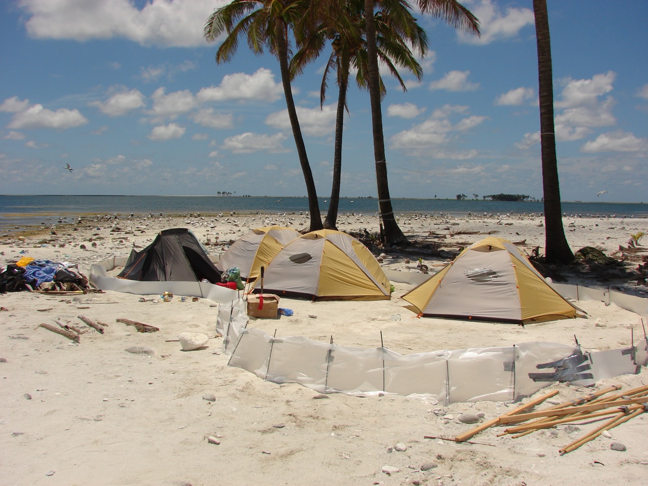 http://faculty.washington.edu/jsachs/lab/www/Research/Clipperton_2008/Scientist_Sleeping_Quarters.jpg