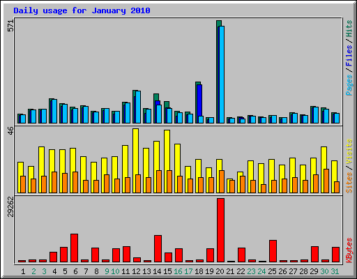 Daily usage for January 2010