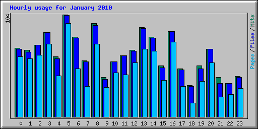 Hourly usage for January 2010